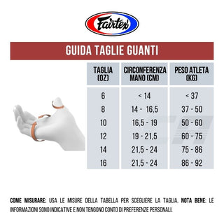 Luvas de Muay Thai Fairtex BGV16 Marrom