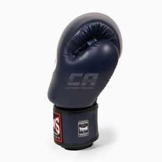 Luvas de Muay Thai Twins Special BGVL3 Azul