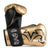 Luvas de Boxe Rival Evolução Sparring RS11V
