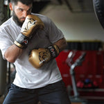 Luvas de Boxe Rival Evolution Sparring RS11V