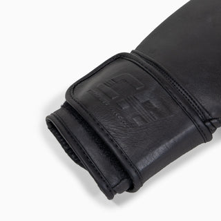 Luvas de combate Arena Heritage 2.0
