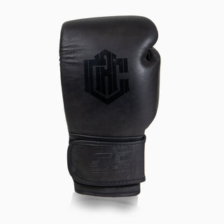 Luvas de combate Arena Heritage 2.0