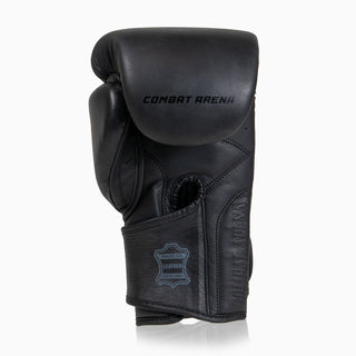 Luvas de combate Arena Heritage 2.0