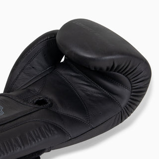 Luvas de combate Arena Heritage 2.0
