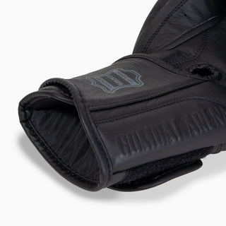 Luvas de combate Arena Heritage 2.0