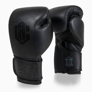 Luvas de combate Arena Heritage 2.0