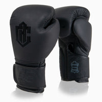 Luvas de combate Arena Heritage Classic 2.0