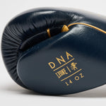 Luvas de Boxe Leone DNA Premium GN002 Azul 