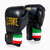 Luvas de Boxe Leone Itália GN039 