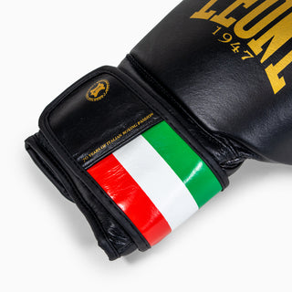 Luvas de Boxe Leone Itália GN039 