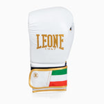 Luvas de Boxe Leone Itália GN039 