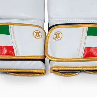 Luvas de Boxe Leone Itália GN039 