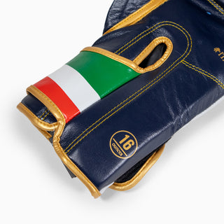 Luvas de Boxe Leone Itália GN039 