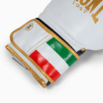 Luvas de Boxe Leone Itália GN039 