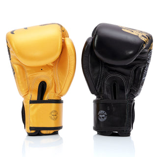 Luvas de Muay Thai Fairtex BGV26 Harmonia Seis 