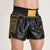 Calções kick-thai Leone DNA Premium AB969 Preto 