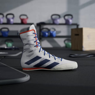 Sapatos de Boxe Adidas Box Hog 4 Branco-azul 