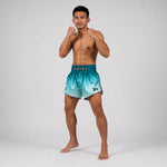 Calções kick-thai Fairtex BS1906 Fade Verde